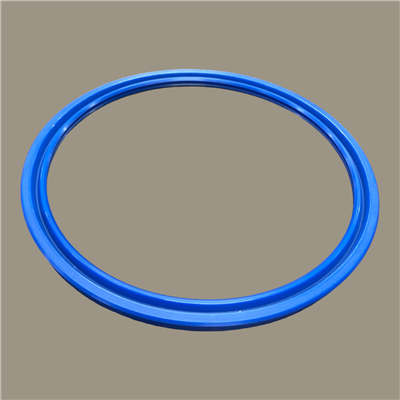 Hallite 616 Rod Seal | CRC Distribution Inc.