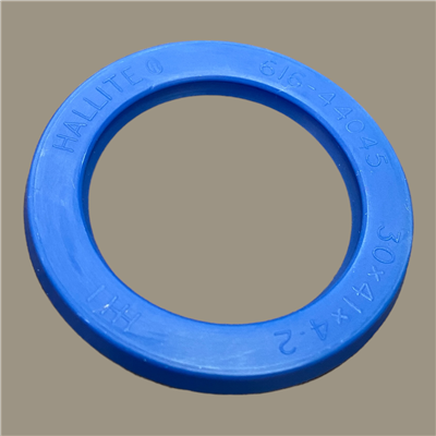 Hallite 616 Rod Seal | CRC Distribution Inc.