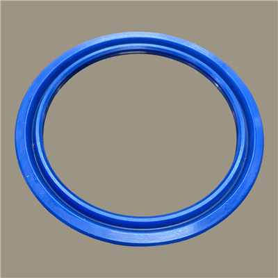 Hallite 616 Rod Seal | CRC Distribution Inc.