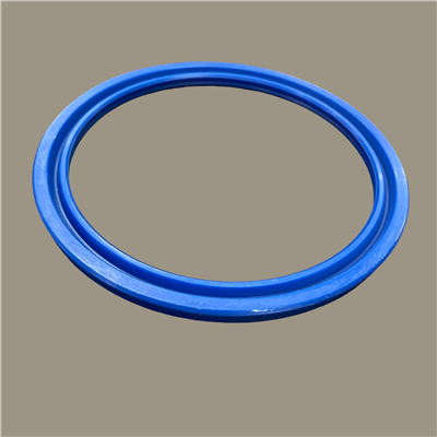 Hallite 616 Rod Seal | CRC Distribution Inc.