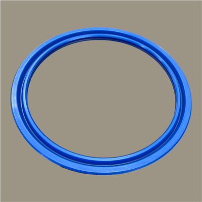 Hallite 616 Rod Seal | CRC Distribution Inc.