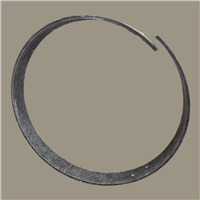 Glass-filled Polyamide Wear Ring | CRC Distribution Inc.