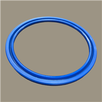 Hallite 616 Rod Seal | CRC Distribution Inc.