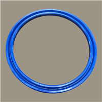 Hallite 616 Rod Seal | CRC Distribution Inc.