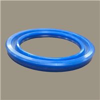 Hallite 616 Rod Seal | CRC Distribution Inc.