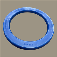 Hallite 616 Rod Seal | CRC Distribution Inc.