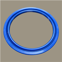 Hallite 616 Rod Seal | CRC Distribution Inc.